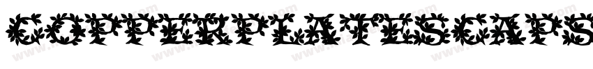 CopperplateSCapsSSi Bold字体转换